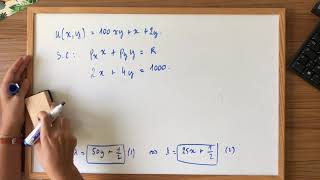 TD 8 Exercice 6 (Multiplicateur de Lagrange)