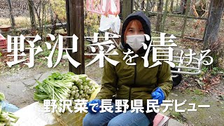 【移住ライフ】～野沢菜を漬ける～移住して1年。私たち夫婦は野沢菜でようやく長野県民デビューを果たしました。