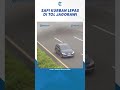 Detik-detik Sapi Kurban Lepas di Tol Jagorawi Bikin Macet #shorts