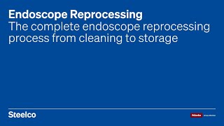 Complete Endoscope Reprocessing Process | Steelco Group