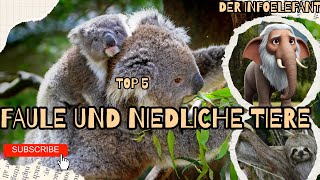 Diese süßen Tiere sind MEISTER der Faulheit! Top 5 der faulsten und niedlichsten Tiere