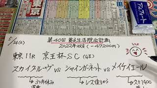 【競馬予想】貧乏勝負軸馬🐎は❓😊東京11R 京王杯スプリングカップ❣️ 第40回貧乏生活脱出計画書❗️