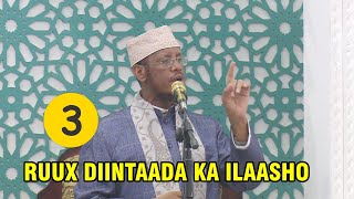 3 Ruux Diintaada ka ilaasho || khutbah || Sh Maxamed Cabdi Umal