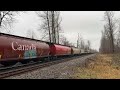 nice lash up cn x310 mixed w bc rail unit @ ruby creek bc canada 07dec23 et44ac 3114 leading