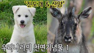 점순이네 동물기 25화 : 우리나라의 천연기념물 1