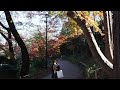 inokashira park tokyo japan 紅葉散歩　井の頭公園　2022 12 15 47