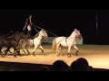 lorenzo the flying frenchman your horse live 2016 part 1