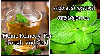 Home Remedy For Cough and Cold // ഈ ഒരു കാലാവസ്ഥക്ക് പനിക്കും ചുമക്കും കഫക്കെട്ടിനും ഉടനടി ആശ്വാസം