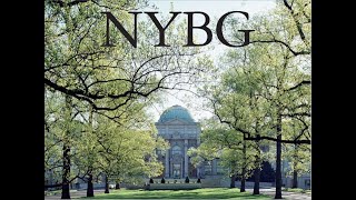 Take Action with the New York Botanical Garden