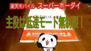 楽天モバイル・スーパーホーダイ1ヶ月使用感レビュー【格安SIM】