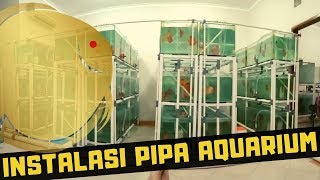 INSTALASI PIPA UNTUK AQUARIUM / FARM