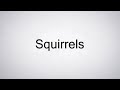 How to Pronounce Squirrels