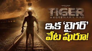 ఇక 'టైగర్' వేట షురూ! | Ravi Teja | Tiger Nageswara Rao | NTV ENT