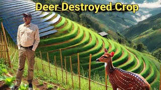 Hill Top Trek, Protecting Farms from Barking Deer with Solar Fencing | Hilltop Survey & Installation