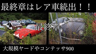 最終章　『東海地方草ヒロ探検』　レア車続出