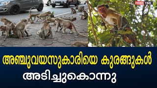 കുരങ്ങൻമാരുടെ ആക്രമണത്തിൽ അഞ്ചുവയസ്സുകാരി മരിച്ചു