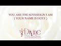 You Are The Sovereign I Am  Your Name Is Holy Song Lyrics Video - Divine Hymns