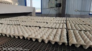 An amazing process of making egg tray using waste paper recycling | New Dawn Machinery