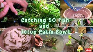 Catching 50 Fish and Setup Patio Bowl | සිමින්ති බෝල් එකට ඇලේ මාලු 50ක් දාමූ