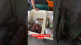 தைவான் காலை சந்தை #Taiwan morning market#taipei #travelvlog #food #streetfood #photography #shorts