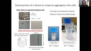 Subculture method of human iPS cells in suspension culture using cell dispersion device