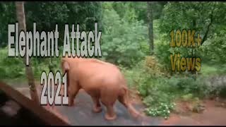 Elephants attack 2021 | കാട്ടാന വീട്ടില്‍ വന്നപ്പോൾ | FunCity