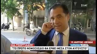 Δηλώσεις Άδωνι Γεωργιάδη 13/07/2019