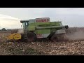 claas commandor 228 cs Αλωνισμος καλαμποκιού