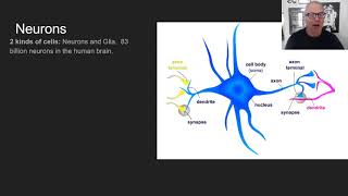 Neuroscience and Philosophy of Mind.