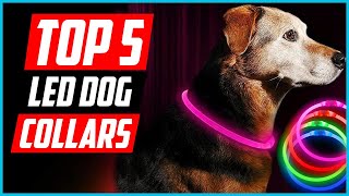 ✅ Top 5 Best LED Dog Collars in 2024