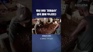 '천원송이'도 결국 무너졌다…줄줄이 오른 제품들 확인해 보니 #shorts / KBS