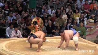 鶴竜 vs 碧山 2015大相撲九州場所2日目 Kakuryu vs Aoiyama 2015 Nov SUMO