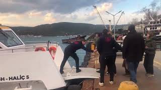 Beykoz Sarıyer hattında korku ve tedirginlik!