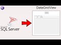 How To Display a Database Table in C# Datagridview