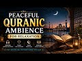 Peaceful Quranic Ambience for Relaxation 🌙 Calm Islamic Healing Music