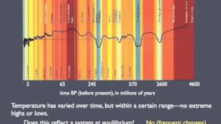 Complex Systems and Feedbacks