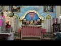 holy mass syro malabar rite daily mass malayalam mass adoration കരുണ കൊന്ത ദിവ്യബലി