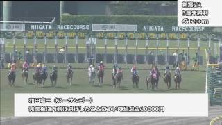 2017年5月6日・7日新潟競馬制裁事象