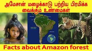 அமேசான் மழைக்காடு பற்றிய பிரமிக்க வைக்கும் உண்மைகள் | Facts about Amazon forest | Tamil