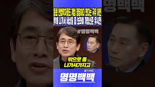 동료 헌법학자들도 계엄 정당하다 했다는 극우 허민, 방구석에만 있지 말고 밖에 나가서 세상을 좀 보라며 개망신준 유시민