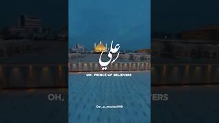 You are the Leader O’Master Aliع ❤️🙏🏻😇 #shortsvideo #shorts #video #trendingshorts #najaf #yaali