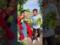 গাছ থেকে এতো আম পাড়লাম কেনো 🤔 youtubeshorts shorts village mango agriculture shortvideo