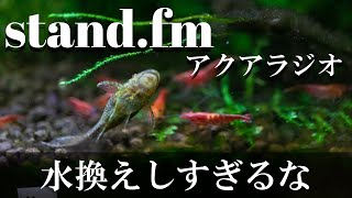 【アクアリウムラジオ】20201204水換えのし過ぎはよくない【stand fm】（再UP）