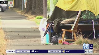 Advocates concerned over ban on homeless camping along school routes