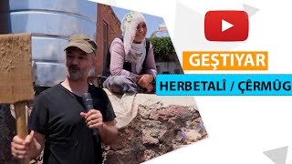 GEŞTIYAR - HERBETALÎ / ÇÊRMÛG