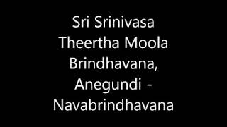 Sri Srinivasa Theertha Moola Brindhavana, Anegundi Navabrindhavana