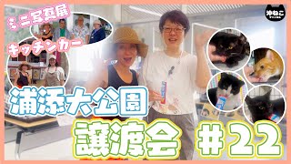 【保護猫】2024年5月11日　浦添大公園南エントランスでの譲渡会の様子をお届け♪　＃保護猫　＃保護猫譲渡会　＃里親