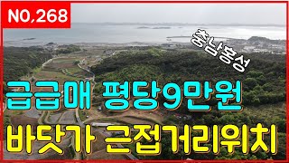 (매물268번)급급매 평당9만원 바닷가 근접거리위치 (일등부동산티비