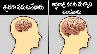 రాత్రి 12 గంటలు దాటాక పడుకునే వారికీ ఈ వీడియో చూస్తే మతిపోతుంది Sleeping Habits\u0026Brain Function