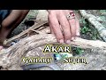 Akar Gaharu Super